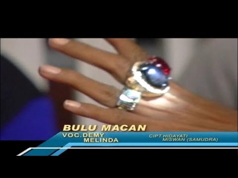 Demy Ft. Melinda Varera - Bulu Macan (Official Music Video)