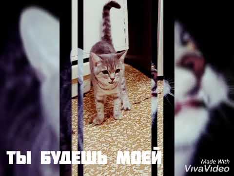 новая музыка  khalif,Robert,RRuslan-доза