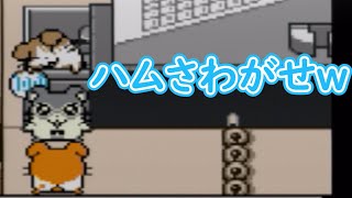 【まったり実況】とっとこハム太郎2 part10(前半)