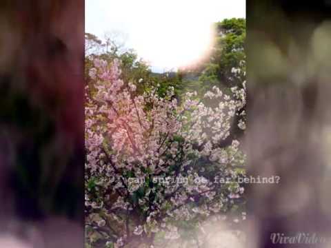 JULIA PEREZ  ''LONELY ''