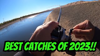 Best Fishing Moments of 2023! | CA Aqueduct Striper Fishing | Iu Mien Fishing