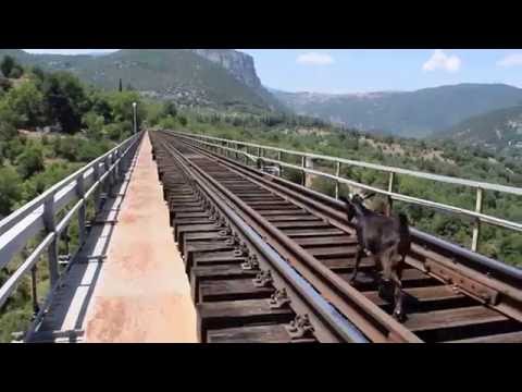 Lost kid crossing Papadia Viaduct (Bralos) Railway Bridge - 03.07.2016