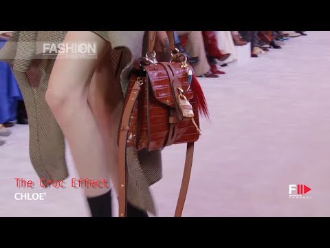 The best BAGS Trends Fall 2019 - Fashion Channel