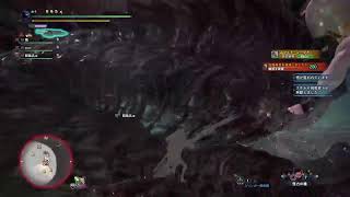 【MHWIB/PS】段差と戦う哀しみのランサー、ムフェト配信(常にランスではないよ・・）