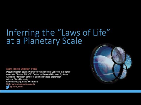 “Planetary Systems Biochemistry: Inferring the laws of life at a Planetary Scale”