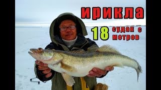 Зимняя рыбалка 2019 на ириклинском водохранилище