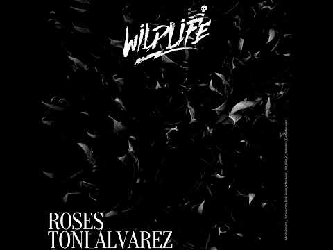 Toni Álvarez - Roses