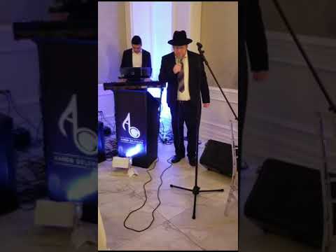 Sruly Hollander Far Dir