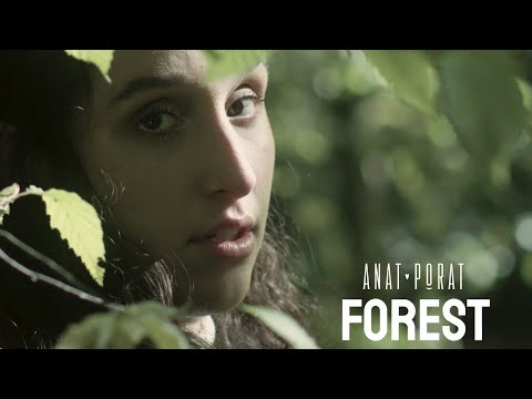 Anat Porat - Forest