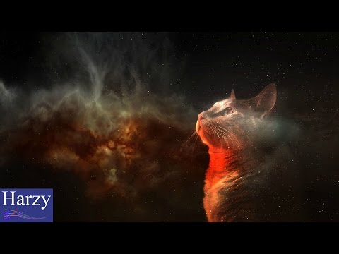 Tryple & Azazal - Meowter Space [1 Hour Version]