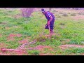 SHULE YA NG OMBE VIDEO 2026