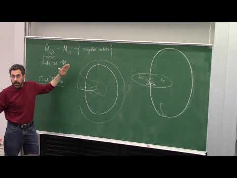 Yair Minsky (Yale) - Weil-Petersson geometry, Dehn filling and branched surfaces