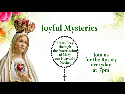 The Holy Rosary | 22 October, 2022 | Joyful Mysteries | Pray for peace in the World