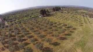 preview picture of video 'Unique building land with sea view on National Park Brijuni- Istria'