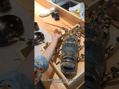 The Ornate Rock Lobster