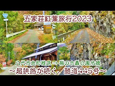 [Travel Vlog 167] Rota Nacional 445, Shiihara, Izumi-cho, cidade de Yatsushiro ⇒ Ponte Suspensa do Parque Umenokido ~ Uma estrada acidentada com uma estrada estreita em um penhasco ~ (2023.11.9)