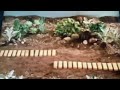 Sesame Street Working On The Railroad For A Train