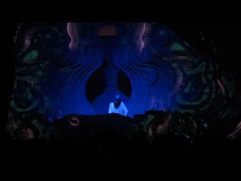 Aes Dana @ OZORA Festival 2017