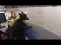 Grote oefening voor politiehonden en hun geleiders