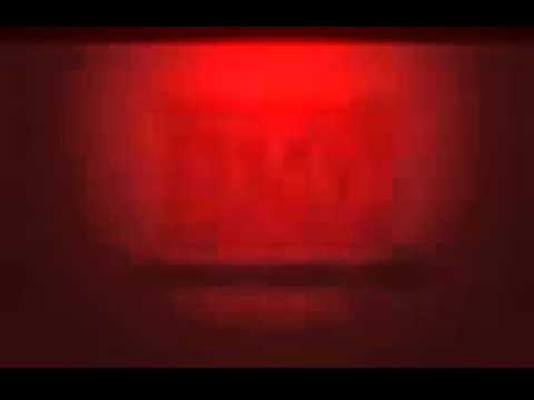 graves x Debroka   Silver Fox