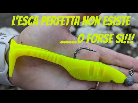 Pesca Spinning - l'esca perfetta per il Siluro... Shad Evolution