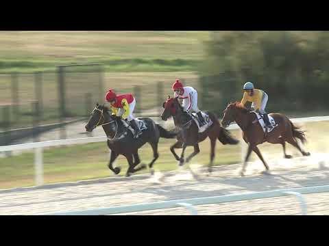 2020.09.20. 08. futam - NÉMETH FERENC EMLÉKKUPA IV. FUTAMA HENDIKEP (IV.o.) (szintetikus pálya)