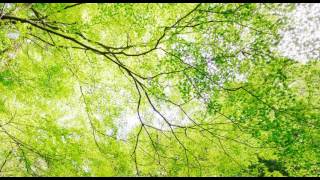 ☆彡smile  for  me☆彡松任谷由実☆彡cover☆彡トット(^^♪