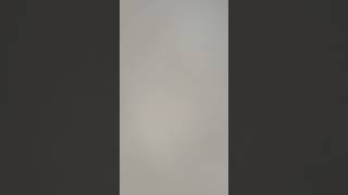 Carnival Breeze Muster Drill #carnivalbreeze