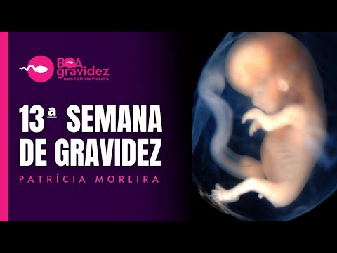 13 SEMANAS DE GRAVIDEZ - Gravidez Semana a Semana