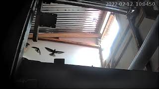 Download lagu Langsung Respon, Ditarik Masuk ruang inap || SP full PJW old || Link ada di colom coment mp3 Download lagu Langsung Respon, Ditarik Masuk ruang inap || SP full PJW old || Link ada di colom coment mp3