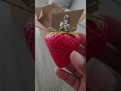 Tory Burch Keychain