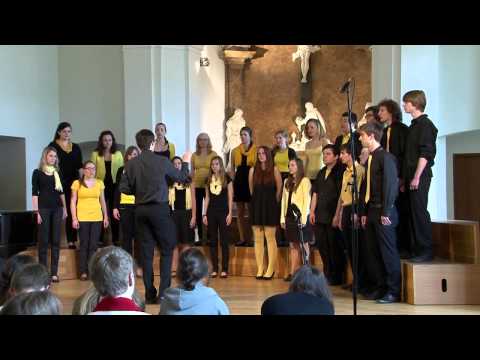 Divertimento – Karel Plíhal – Ve skříni (arr. Filip Beneš) (Gymnasia Cantant 2014)