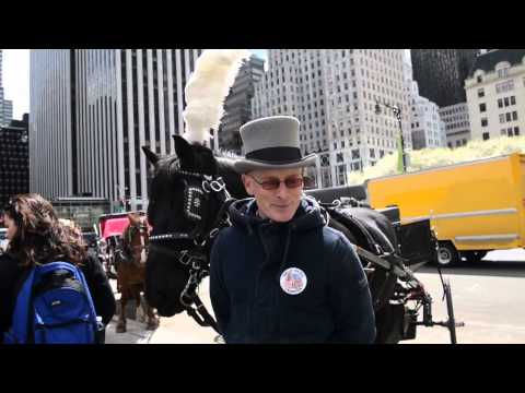 NY Daily News Hands Out Buttons to Save The Horses