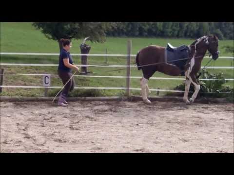 Kadenztritte rechts Jumper 130829