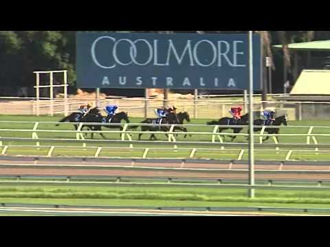 Hallowed Crown by Street Sense wins the G1 Randwick Guineas