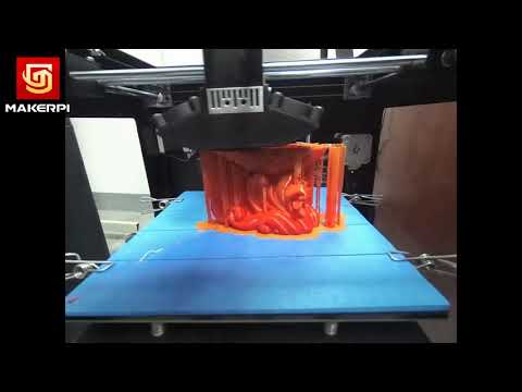 Makerpi M2030X Mix Color 3D Printer Demo