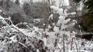 preview picture of video 'Snowtober 2011 in Stewartstown, PA'