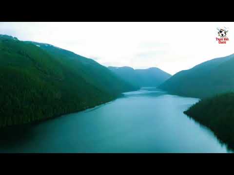 rainforest#overland#jeep###