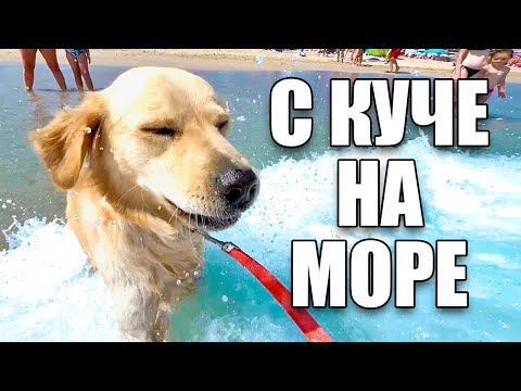 1 ДЕН С КУЧЕ НА МОРЕ