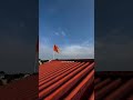 New Song Status Lofi Song Oh Maula Na Jaane Kyaa Teri Yeh Maaya Status Viral