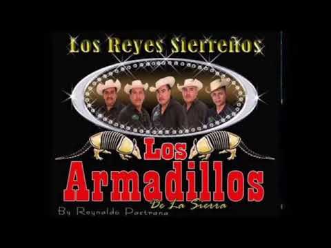 Los Armadillos de la Sierra - 22 Exitos CD COMPLETO