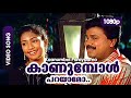 Kaanumpol Parayaamo HD 1080p Dileep Navya Nair Nedumudi Venu Jayasudha Ishtam