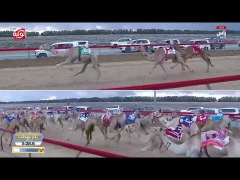  ش 20 (مزنة) لـ حمد ناصر مسفر الشهواني 7:17:8 ، ختامي المرموم 2026/03/24 لقايا