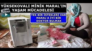 Yüksekovalı Minik Maral’ın Yaşam Mücadelesi