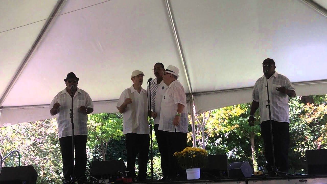 Promotional video thumbnail 7 for The Original Mixed Company