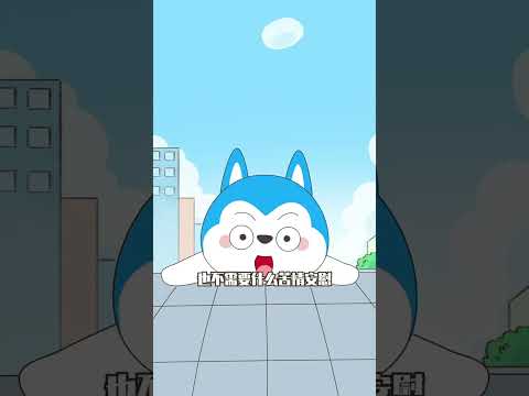 射手座貓