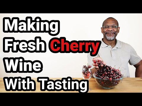 Making Fresh Cherry Wine With Tasting