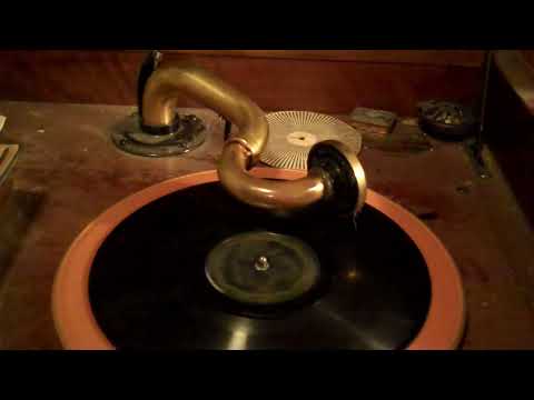 IRVING AARONSON'S COMMANDERS - GIVE ME A UKELELE AND A UKELELE BABY - ROARING 20's VICTROLA 8-30