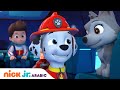 دوريات المخلاب مارشال قائدًا للذئاب Nick Jr Arabia