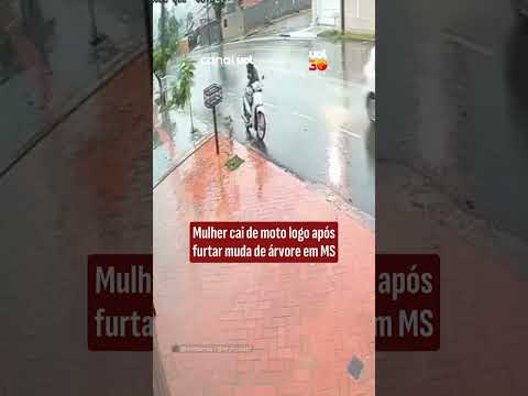 Mulher cai de moto logo após furtar muda de árvore em MS